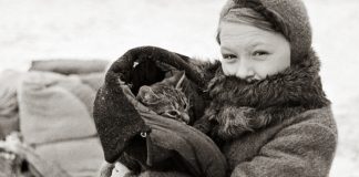 Блокадний кіт Васька - історія, яку потрібно пам'ятати
