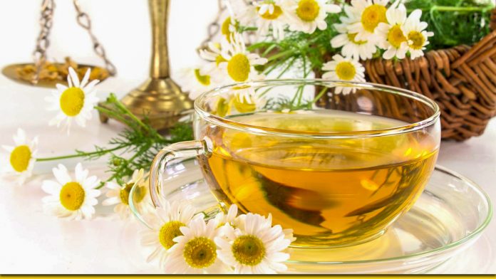 Ромашковий чай — натуральні ліки проти сотні болячок