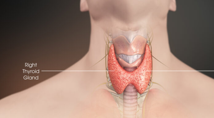 За які продукти щитовидка скаже вам “дякую” – простий, але дуже корисний список