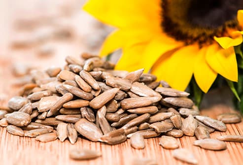 Sunflower Seeds