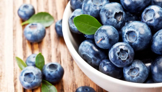 6 Hints How to Grow Your Blueberry в Home. It’s Much Easier Than You Think