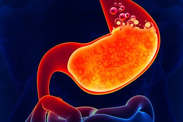 493ss_thinkstock_rf_stomach_full_of_acid_anatomy.jpg?resize=375px:250px&output-quality=50