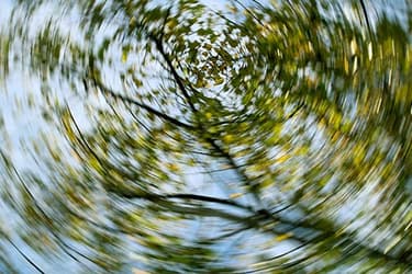 493ss_thinkstock_rf_spinning_trees.jpg?resize=375px:250px&output-quality=50