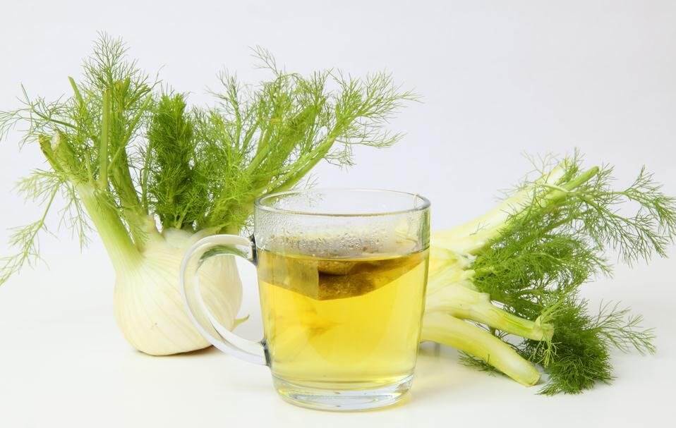 Fennel