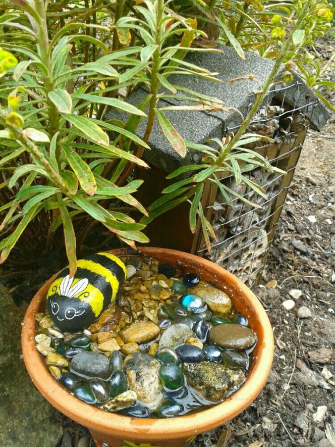Правильно зроблена станція водопою для бджіл може врятувати багато цих корисних комах
