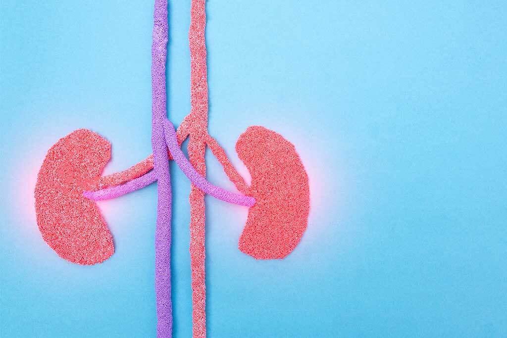 The renal function.