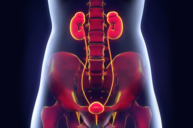 Urinary Tract Infection