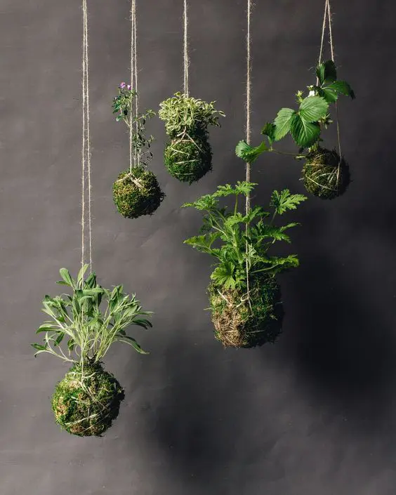 15 Ideas for Creating a Vertical Garden at Home