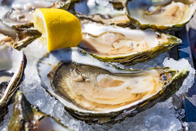 photo of half-shell, shucked oysters