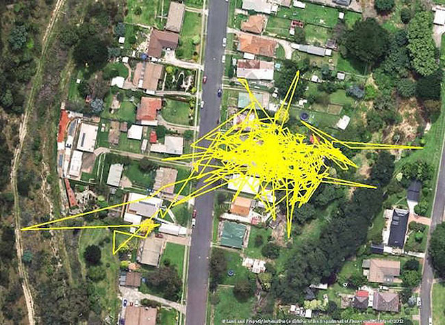 GPS Trackers Show Us What Our Cats Do When They Go Out At Night