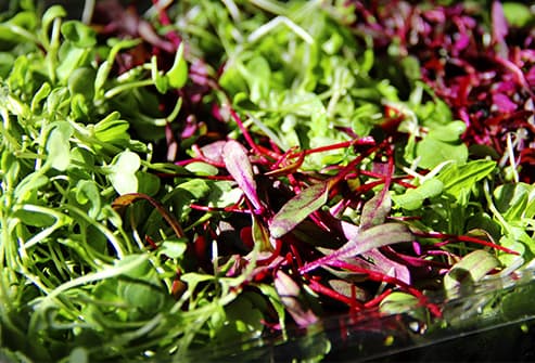 Microgreens