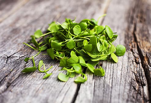 Watercress