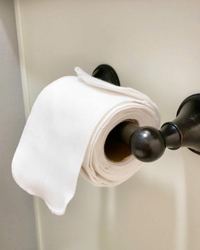 Reusable Toilet Paper: Eco-Madness or a Smart Way to Save Money?