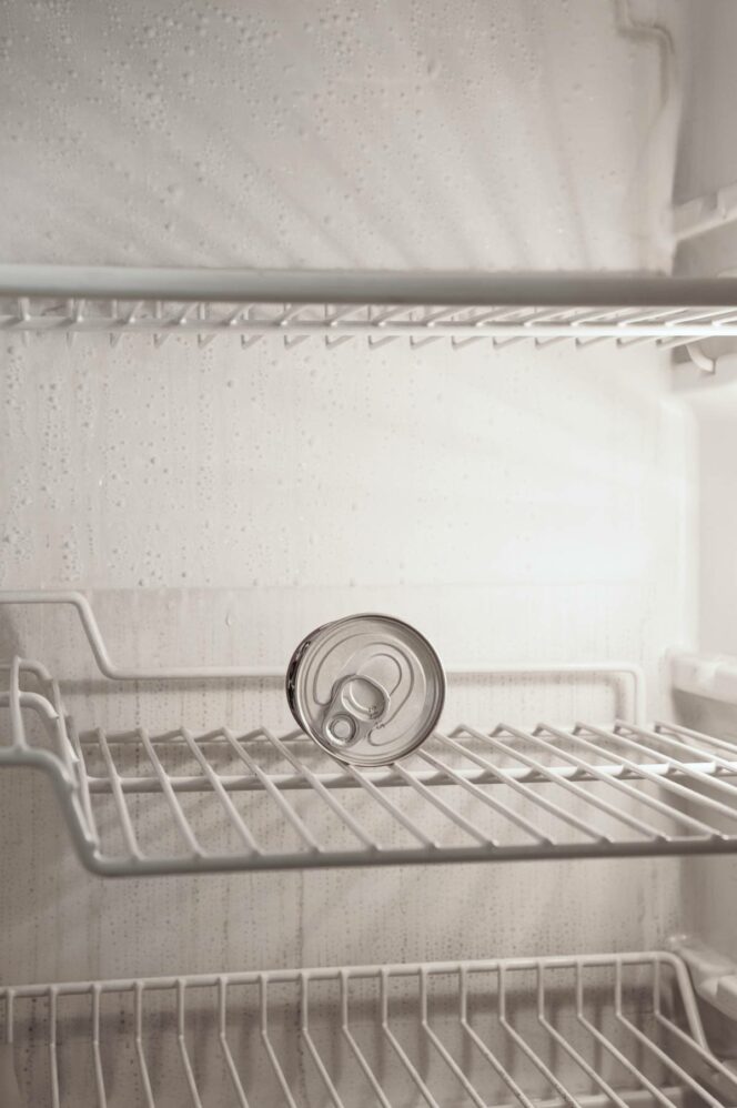 Temperature in the Refrigerator &#8211; What Should It Be and Is It Worth Changing in the Summer?